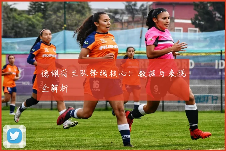 德佩荷兰队锋线核心：数据与表现全解析